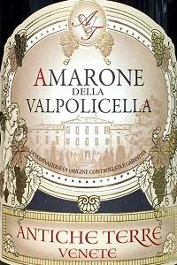 Antiche Terre - Amarone della Valpolicella 2019 (750ml) (750ml)