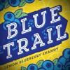 Lancaster Brewing - Blue Trail Lemon Blueberry Shandy 0 (62)