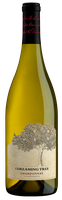 Chardonnay
