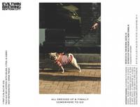 All Dressed Up And Finally Somewhere To Go