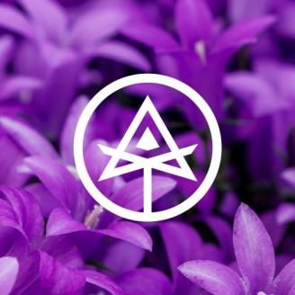 Autodidact Beer - Full Circle (4 pack 16oz cans) (4 pack 16oz cans)