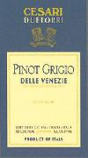 Due Torri - Pinot Grigio Friuli 2021 (375ml)