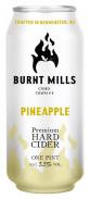 Burnt Mills Cider - Pineapple 0 (415)